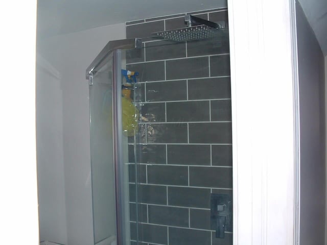 interior details featuring a shower with shower door