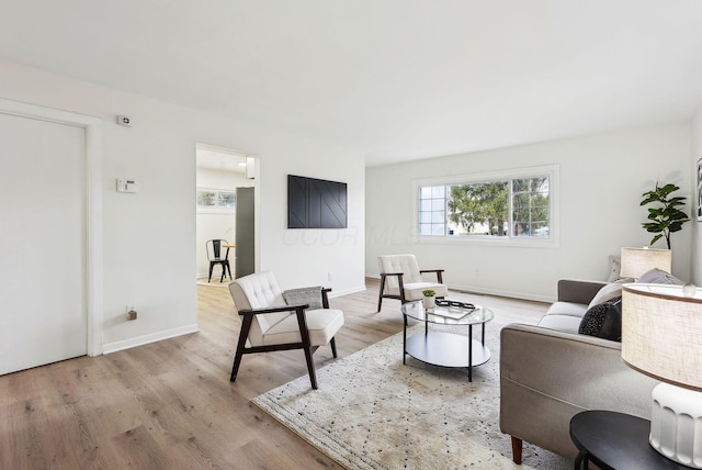 living room featuring light hardwood / wood-style floors