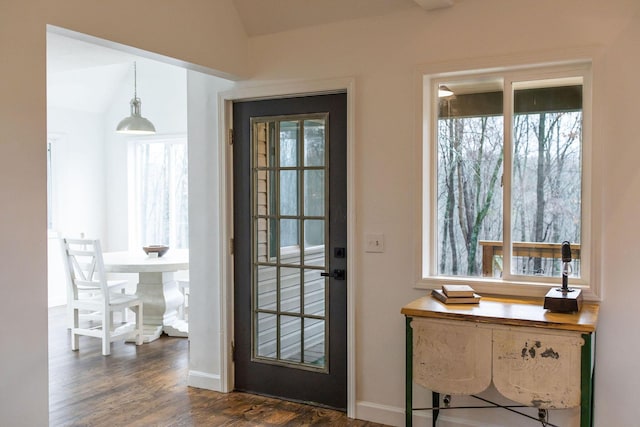 entryway featuring dark hardwood / wood-style flooring