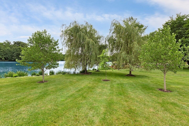 view of yard featuring a water view