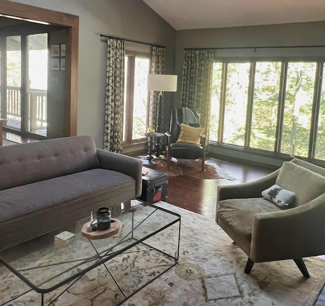 living room with hardwood / wood-style floors and lofted ceiling