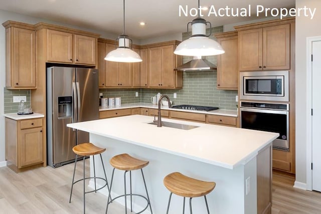 kitchen featuring light hardwood / wood-style floors, an island with sink, ventilation hood, stainless steel appliances, and pendant lighting