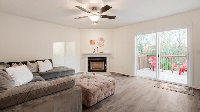 living room featuring ceiling fan and wood-type flooring