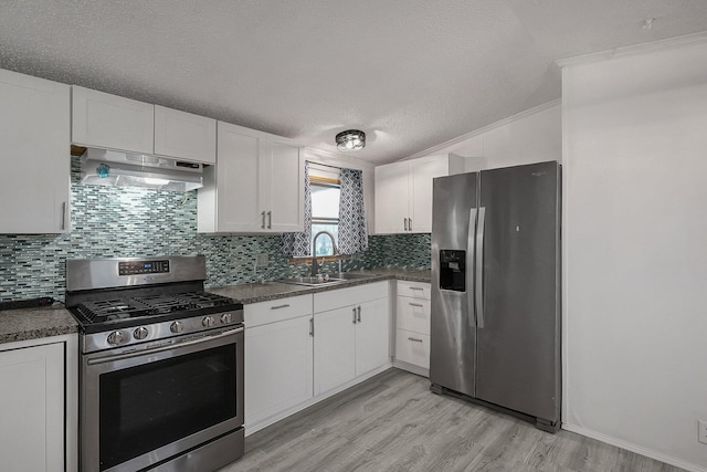 kitchen with white cabinetry, sink, stainless steel appliances, and range hood