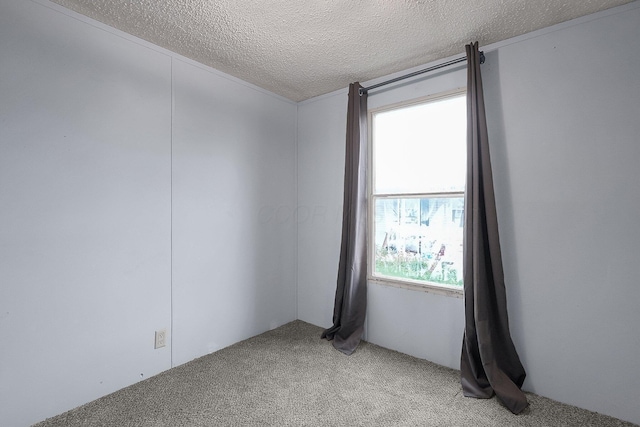 carpeted spare room featuring a textured ceiling and a healthy amount of sunlight