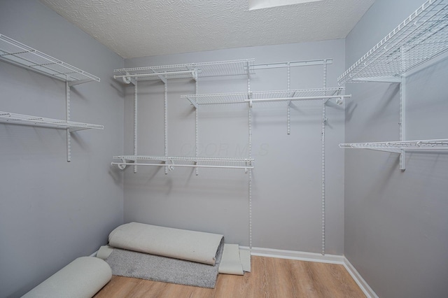 spacious closet with hardwood / wood-style flooring