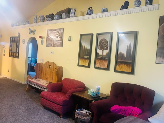 living area featuring carpet and high vaulted ceiling