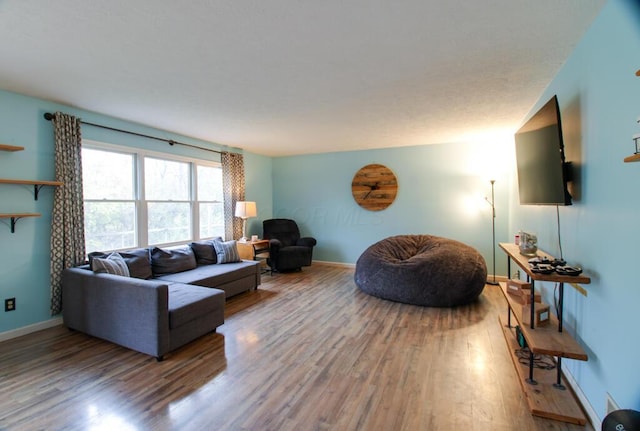 living room featuring hardwood / wood-style flooring