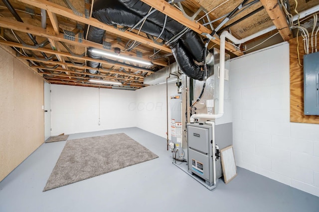 basement with electric panel and gas water heater