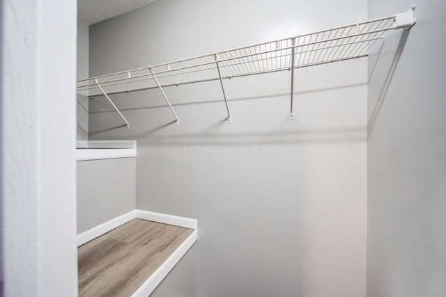 walk in closet with hardwood / wood-style flooring