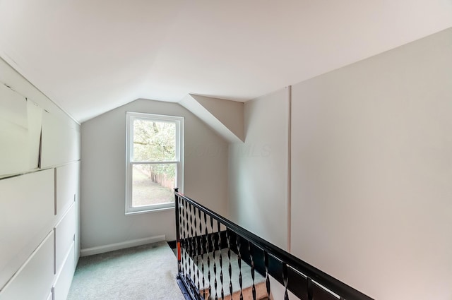 stairway featuring vaulted ceiling and carpet flooring