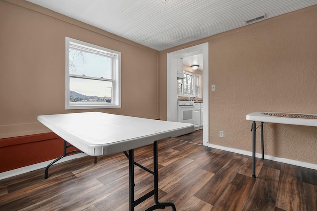 interior space with sink and dark wood-type flooring