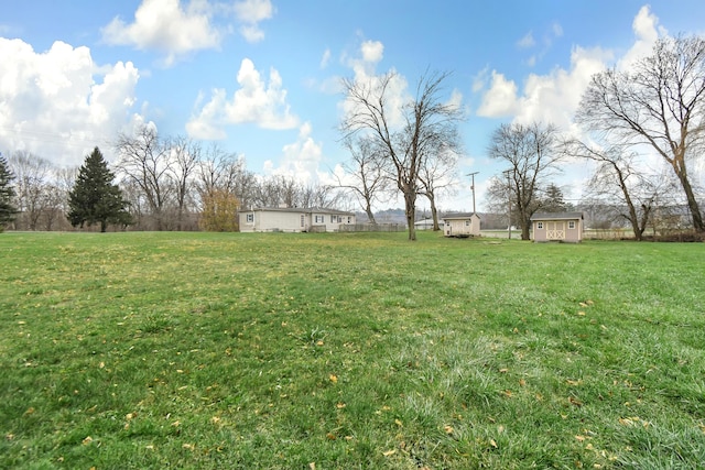 view of yard with a shed