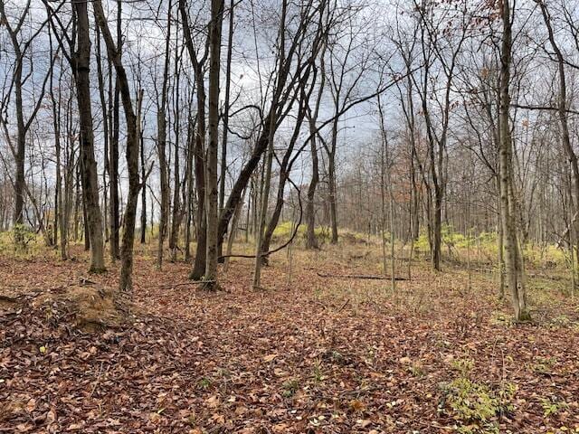 0 Dozer Rd SW, Stoutsville OH, 43154 land for sale