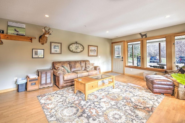 living room with light hardwood / wood-style floors