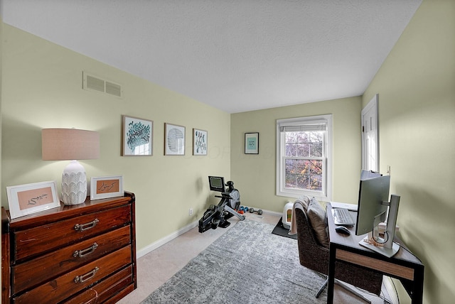 office featuring light colored carpet and a textured ceiling