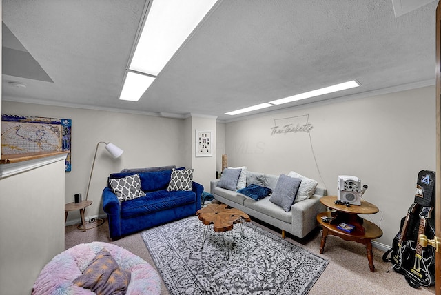 carpeted living room with a textured ceiling and ornamental molding