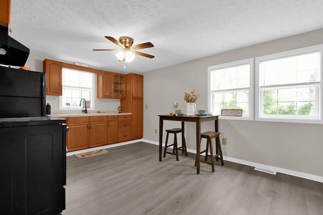 kitchen with hardwood / wood-style flooring, black refrigerator, stove, and exhaust hood