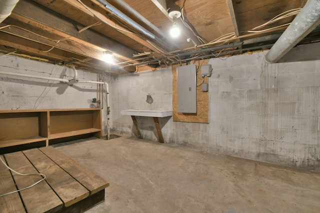 basement with electric panel