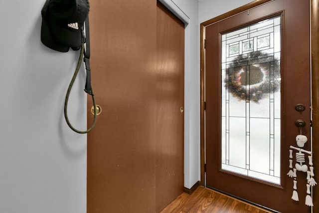 entryway featuring hardwood / wood-style floors