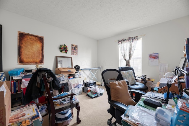 carpeted office with a textured ceiling