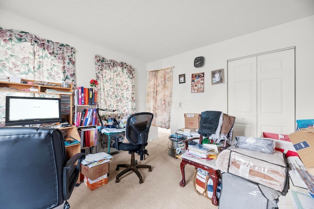 view of carpeted office space