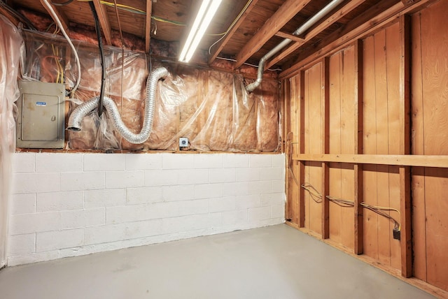 basement with electric panel