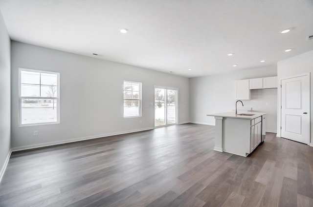 kitchen featuring hardwood / wood-style floors, white cabinetry, a kitchen island with sink, and sink