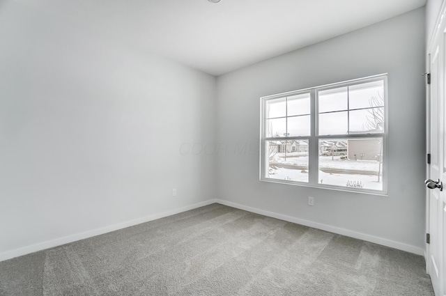 empty room featuring carpet floors