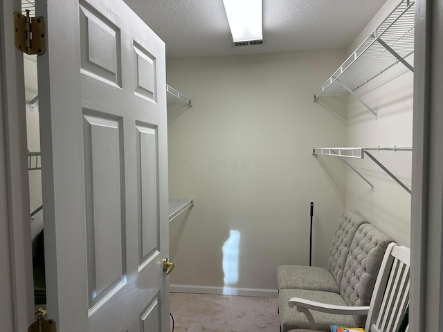 spacious closet featuring light carpet