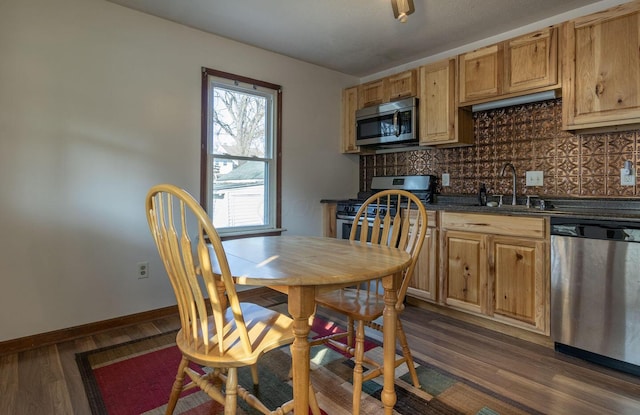 kitchen with decorative backsplash, stainless steel appliances, and dark hardwood / wood-style floors