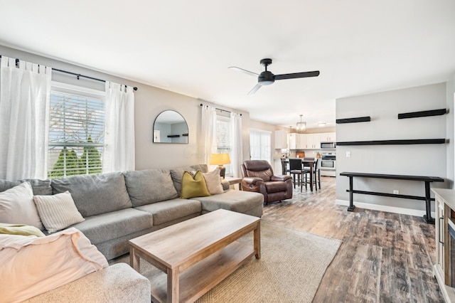 living room featuring ceiling fan and wood-type flooring