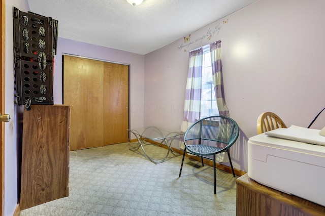 sitting room featuring light colored carpet and a textured ceiling