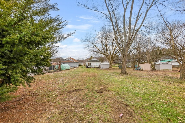 view of yard with a storage shed