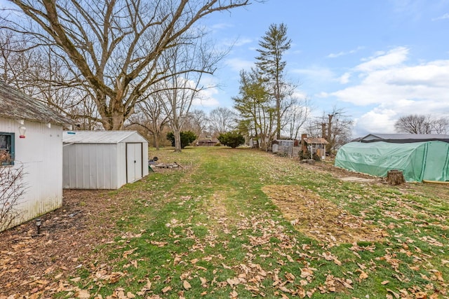 view of yard with a shed