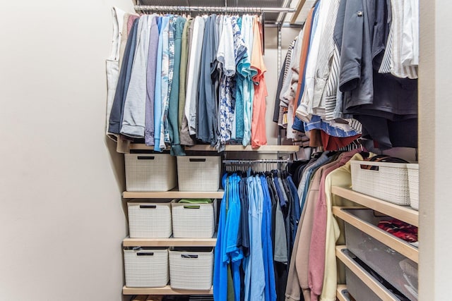 view of walk in closet