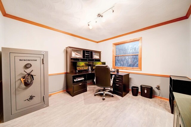 office featuring crown molding and light hardwood / wood-style flooring