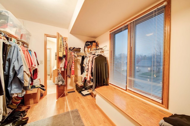 spacious closet with hardwood / wood-style flooring