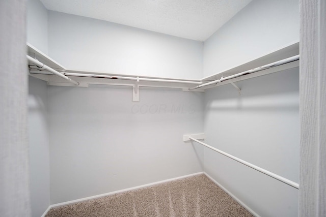 walk in closet featuring carpet