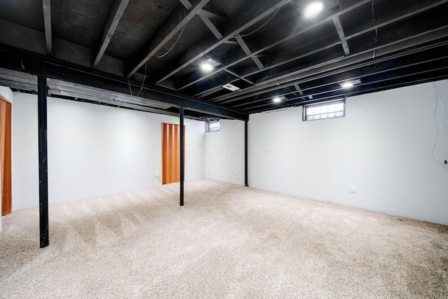 basement featuring carpet flooring