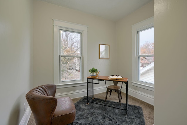 office space with carpet floors