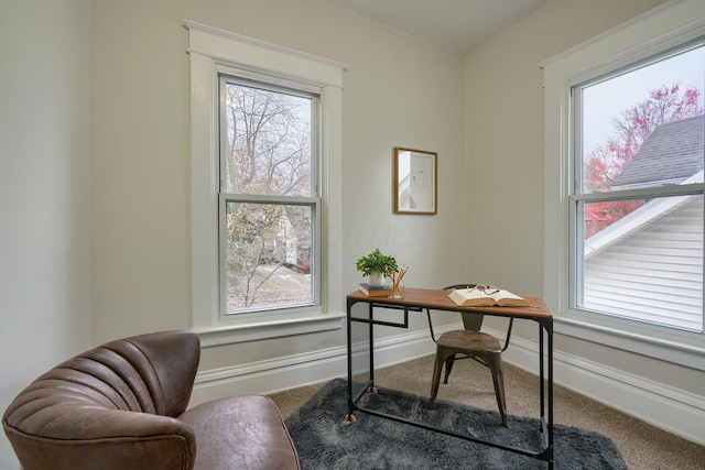 carpeted office space featuring plenty of natural light