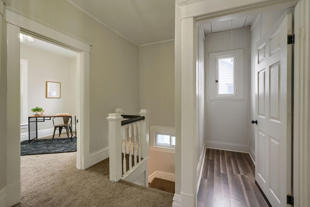 hallway with ornamental molding and dark wood-type flooring