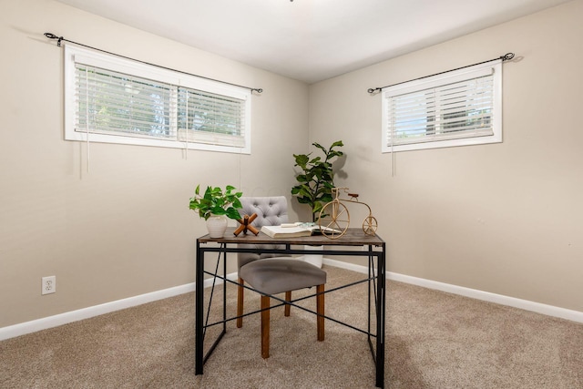 office space featuring plenty of natural light and carpet floors