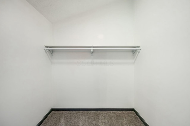 spacious closet featuring carpet flooring