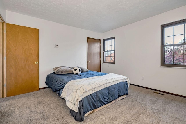 bedroom with carpet, a textured ceiling, and multiple windows