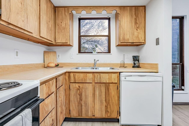 kitchen with sink, light hardwood / wood-style floors, and white appliances