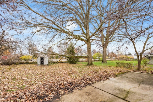 view of yard with a patio and a storage shed