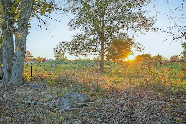 view of nature