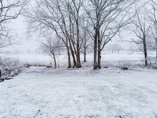 view of snowy landscape